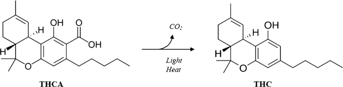 THC-A vs D9 THC: What’s the Difference and Which Should You Choose? 1 Chemical process explained how THC-A turns into D9 THC